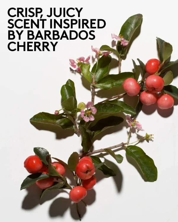 Cherry Dub Triple Action AHA Body Scrub - Image 8